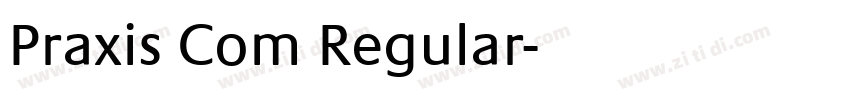 Praxis Com Regular字体转换